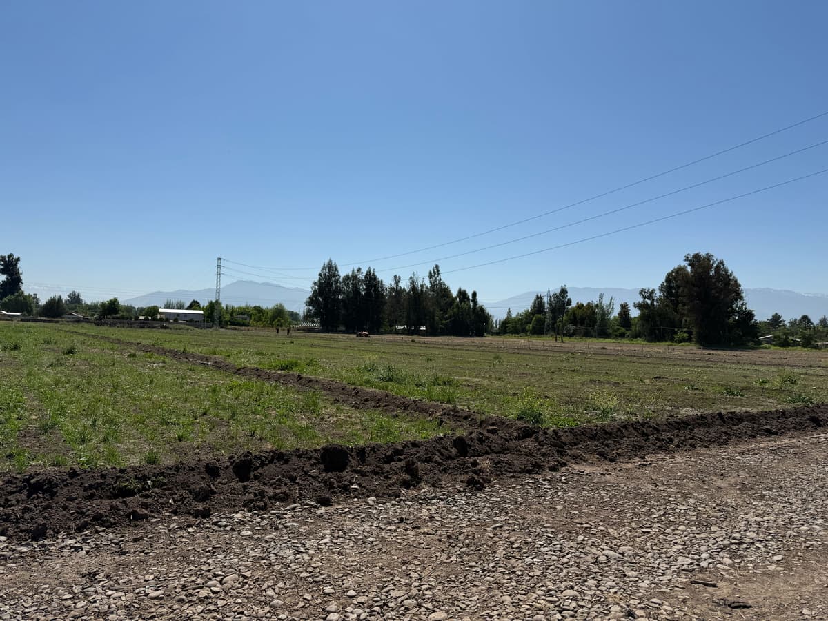 Entorno y ubicación